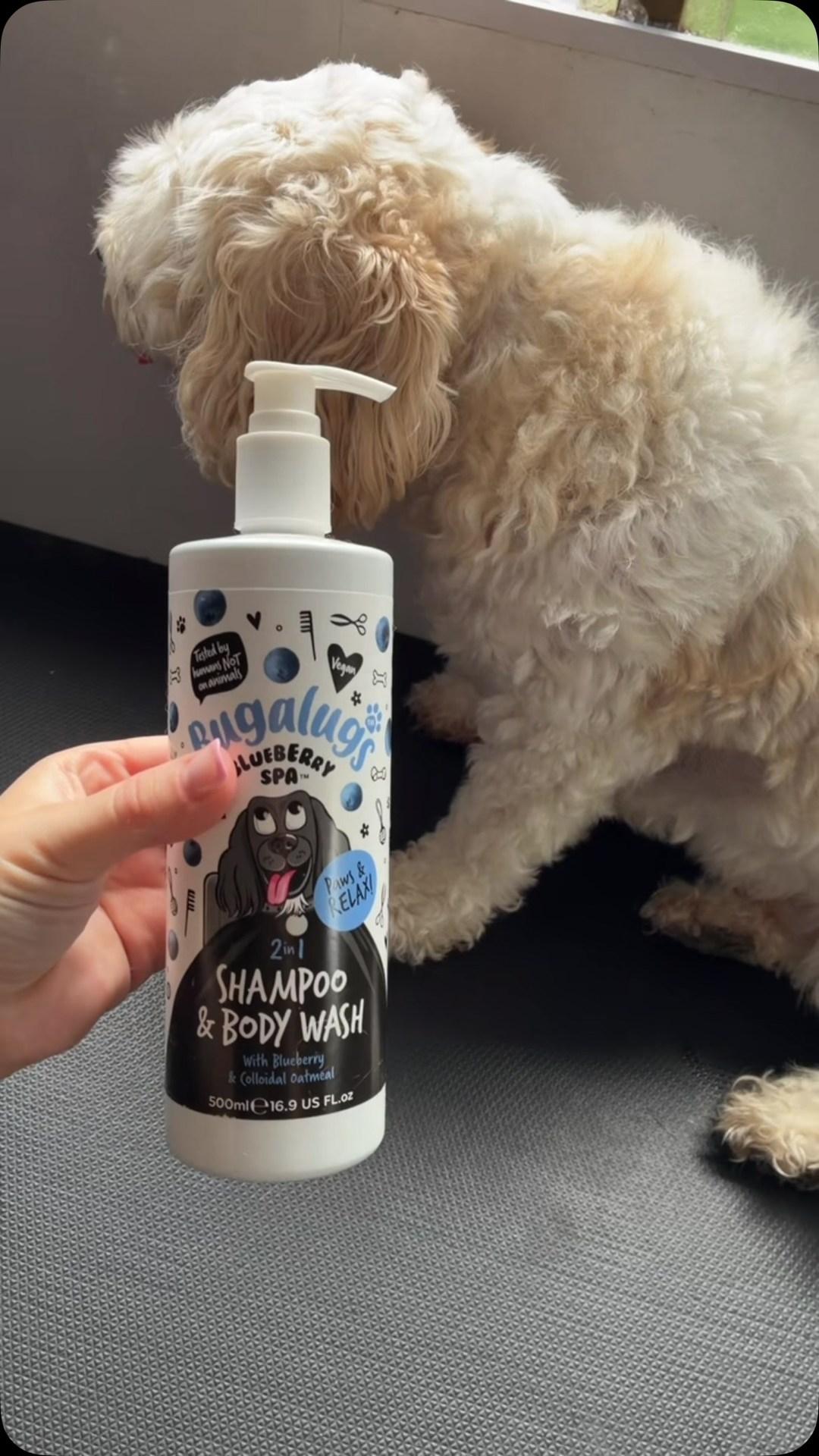 Anúncio de Bugalugs Pet Care