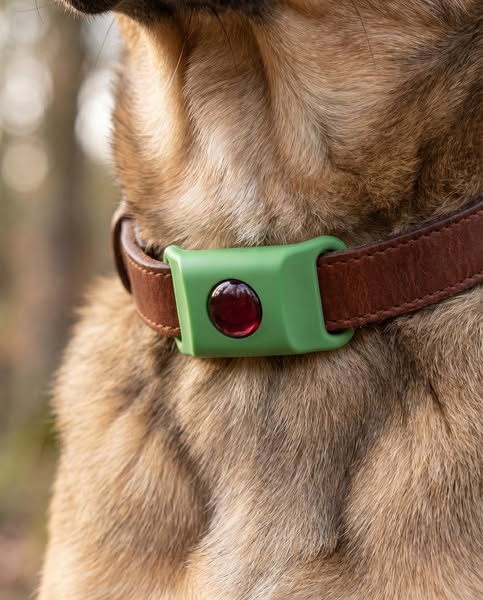 180 à 240 € de chimie par an, ou 34,90 € de naturel ? Votre chien a déjà choisi.