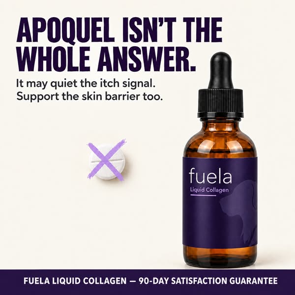 Fuela Premium Liquid Collagen