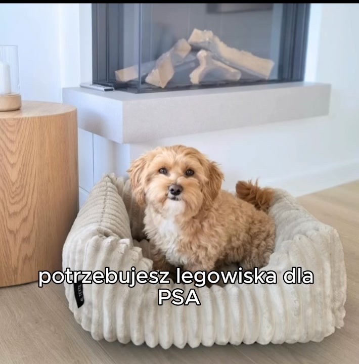 Puszyste legowisko dla psa CLOUD