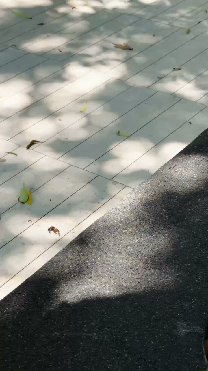 𝘈 𝘣𝘦𝘵𝘵𝘦𝘳 𝘸𝘢𝘺 𝘵𝘰 𝘦𝘯𝘫𝘰𝘺 𝘺𝘰𝘶𝘳 𝘤𝘪𝘨𝘢𝘳𝘴