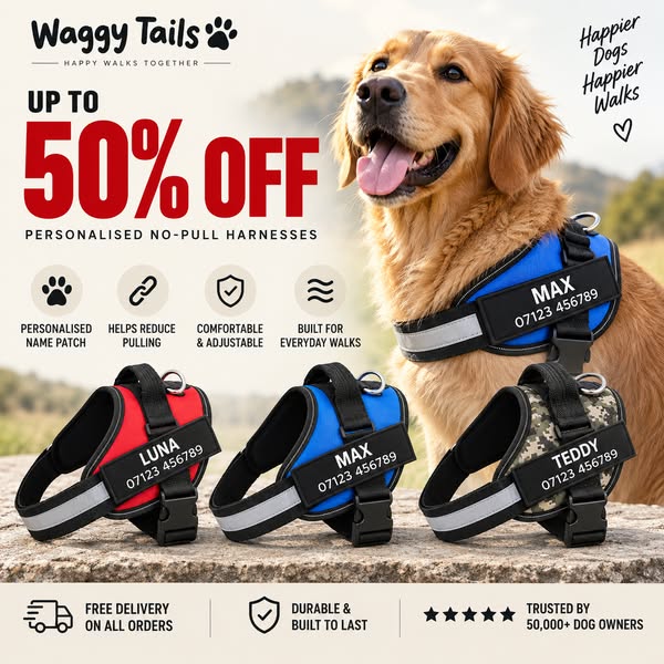 50% Off Dog Harnesses