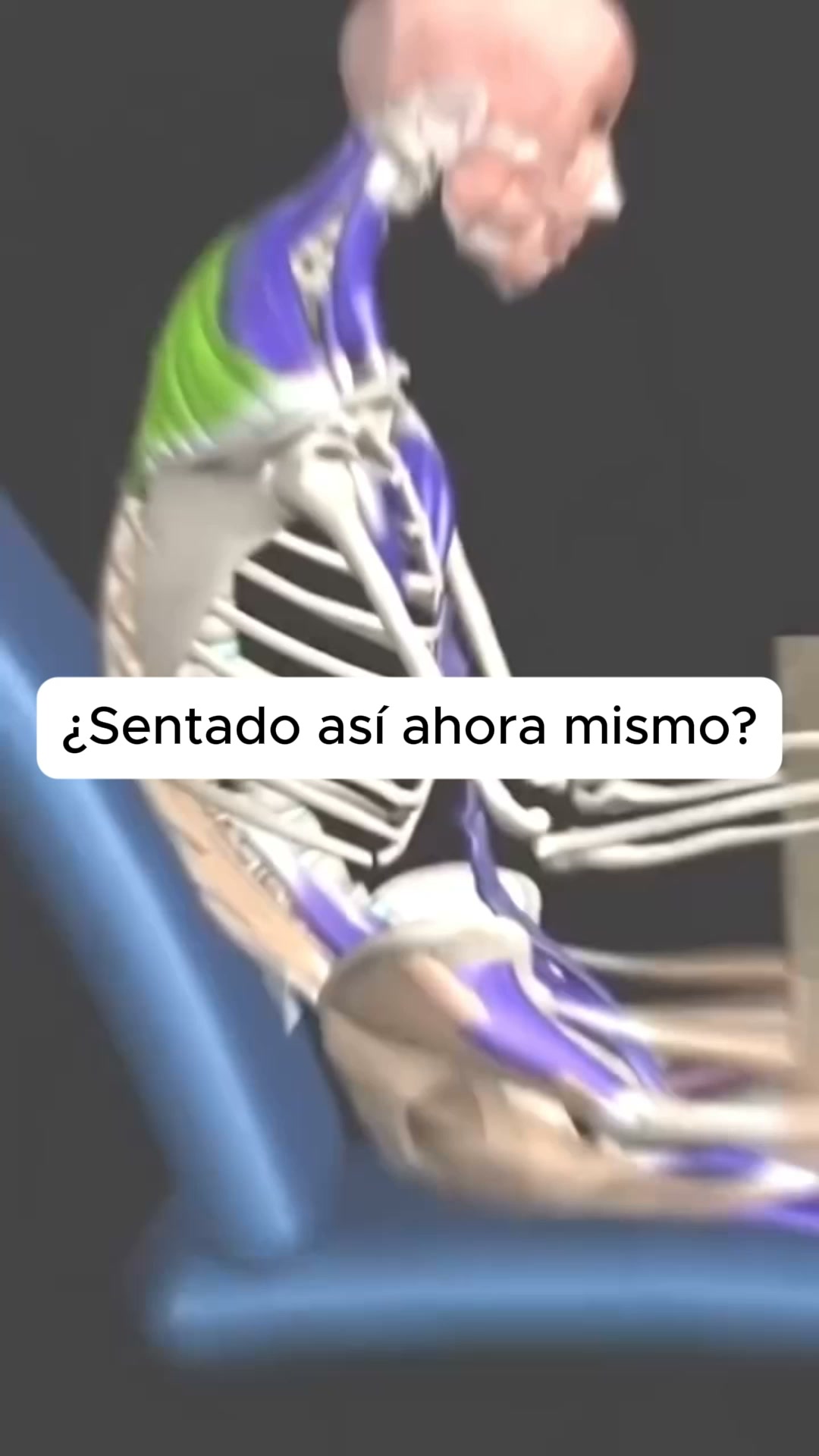 Corrige tu postura y di adiós a los dolores de espaldahoras sentado