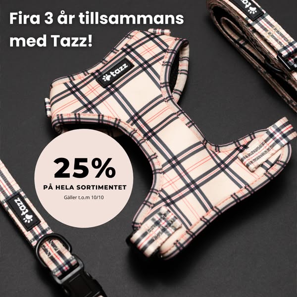 25% på allt – t.o.m. 10/10