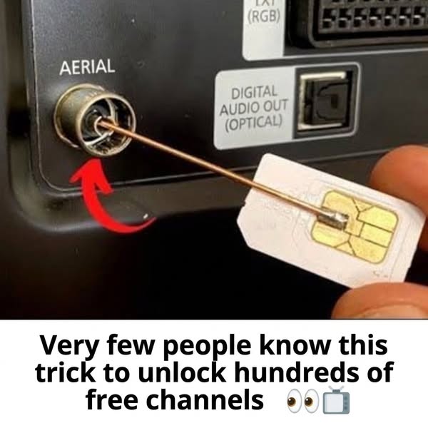 Stop paying £85 a month for TV , watch everything for a one-time £29.95.