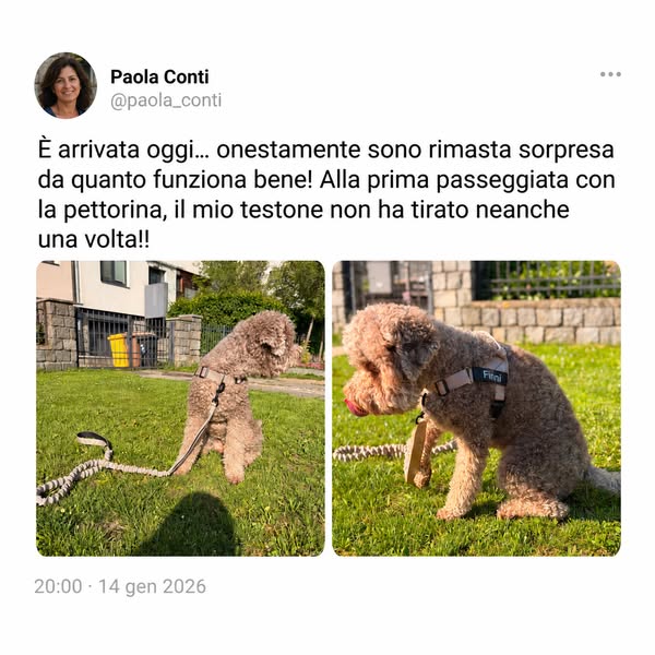 Prima passeggiata, non ha tirato una volta