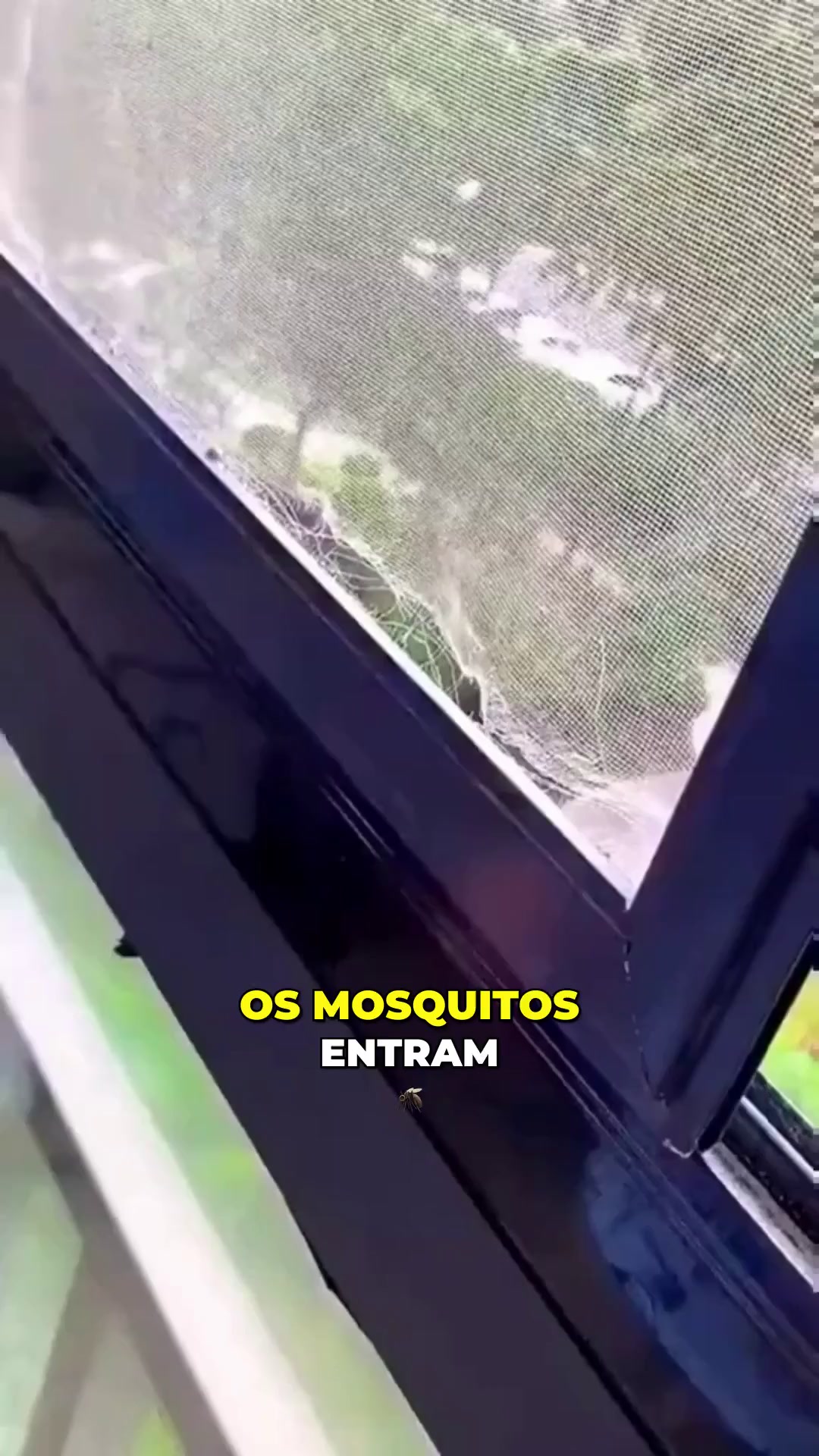 Reparações Sem Complicações para Buracos e Rasgões!