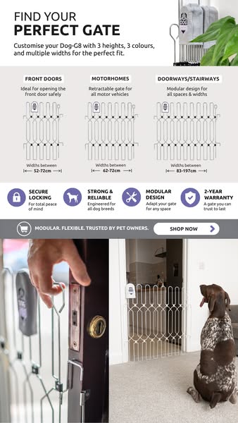 Find Your Perfect Dog Gate Fit