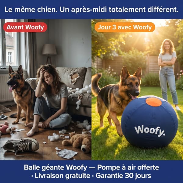 Pour les chiens qui ne plaisantent pas