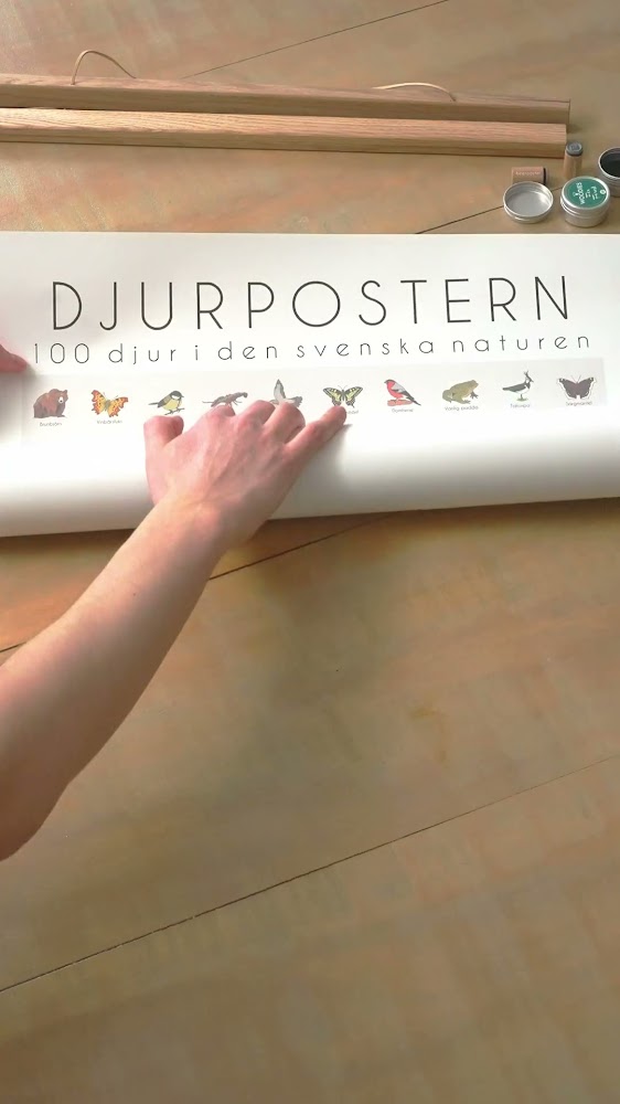 100 djur från Sverige - på en poster