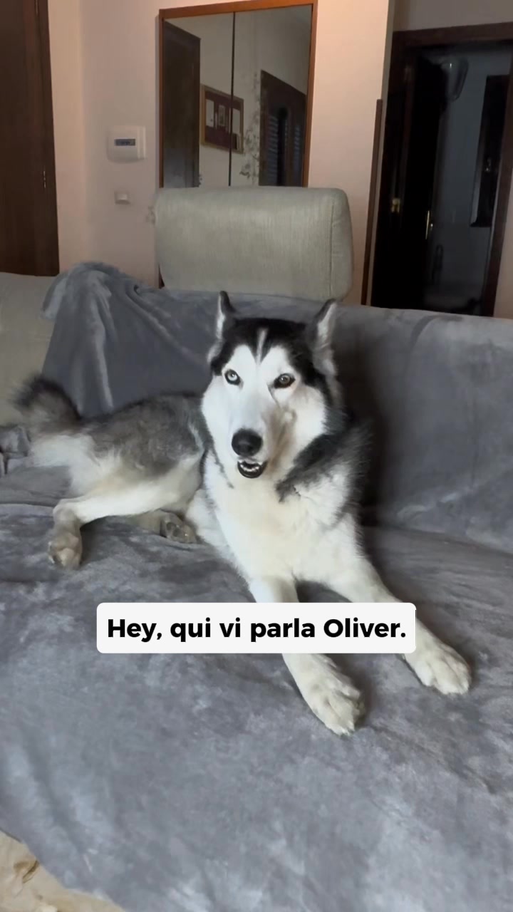 Elimina il Prurito del tuo Cane alla Fonte