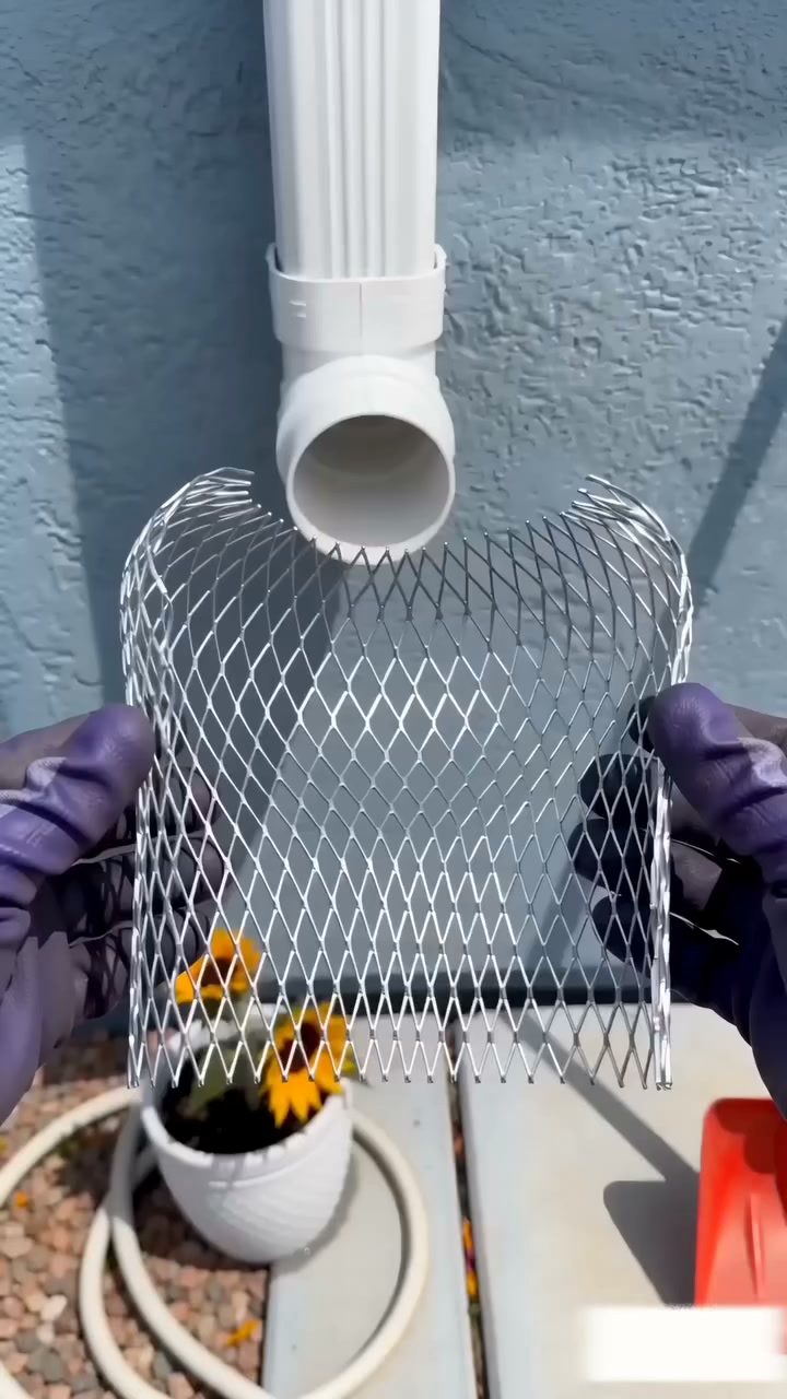 Anúncio de Ahlwo Life