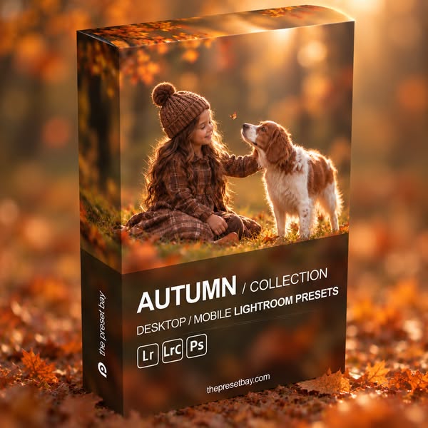 Lightroom Presets