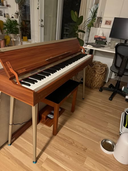 Digital Piano