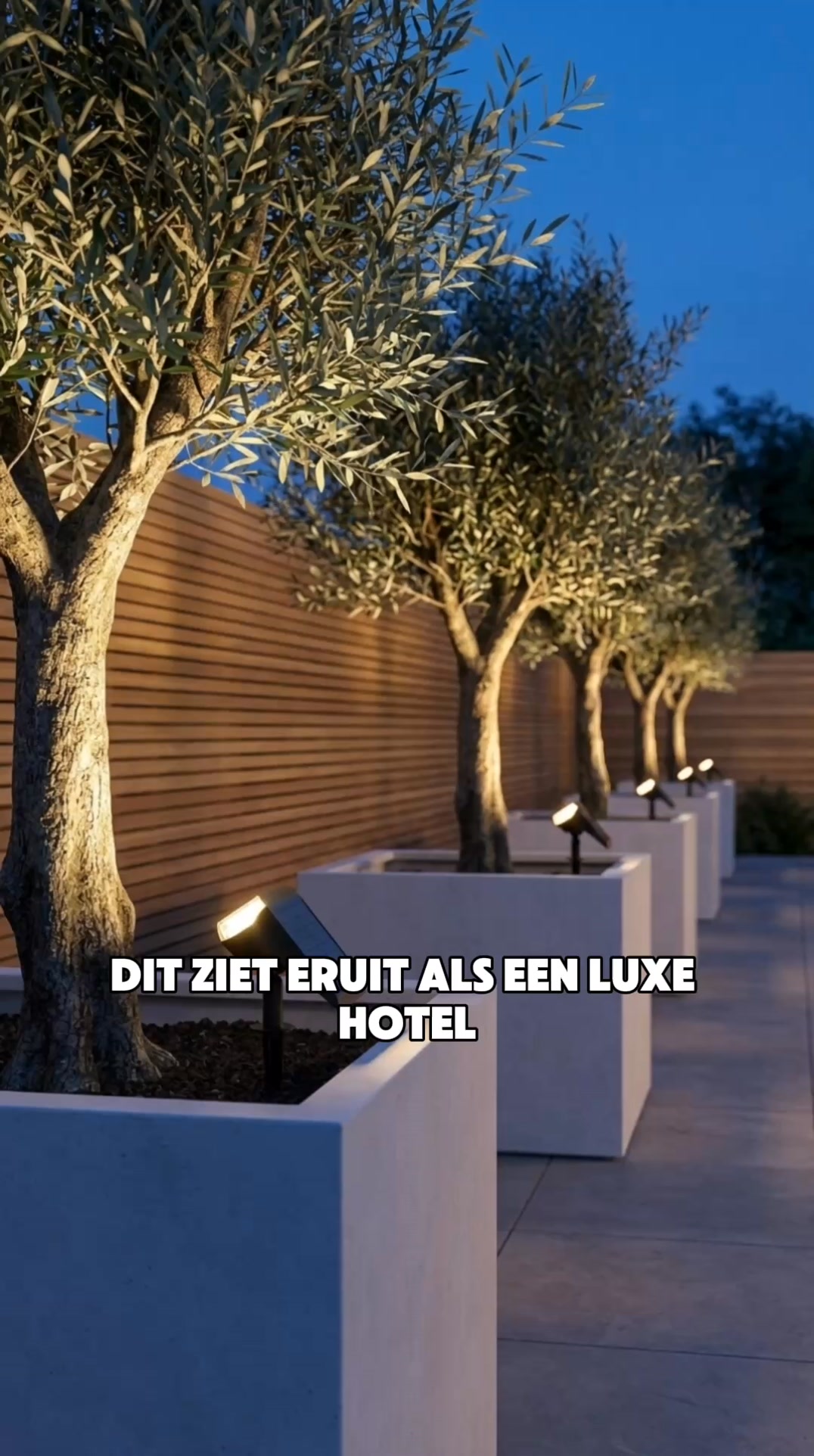 50% korting – alleen vandaag