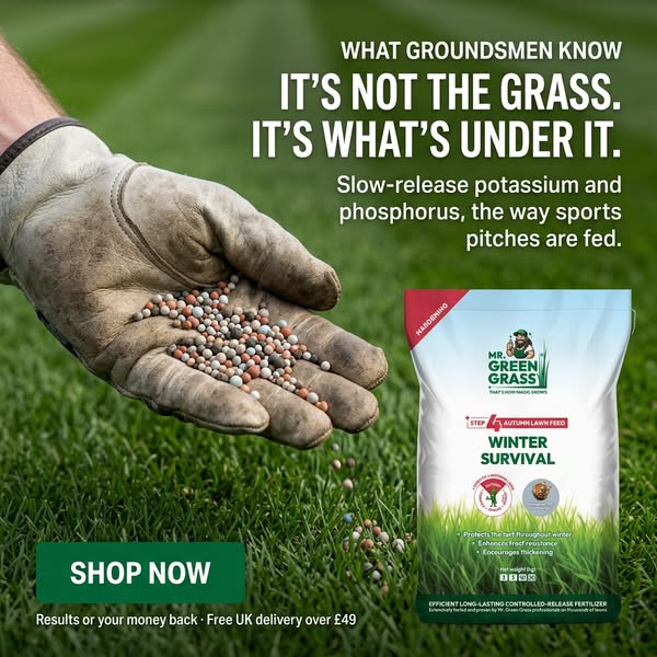 Your Lawn Deserves The BEST!