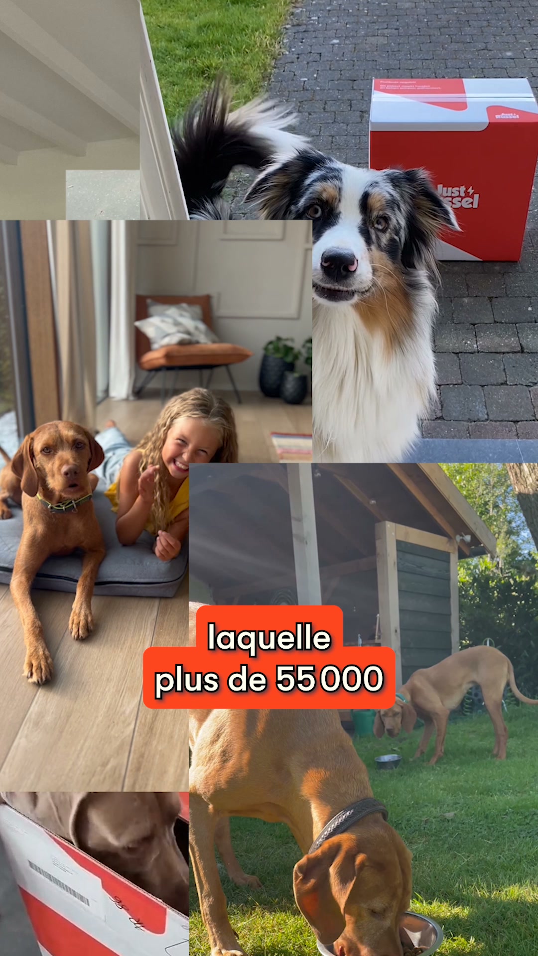 Alimentation premium sur mesure