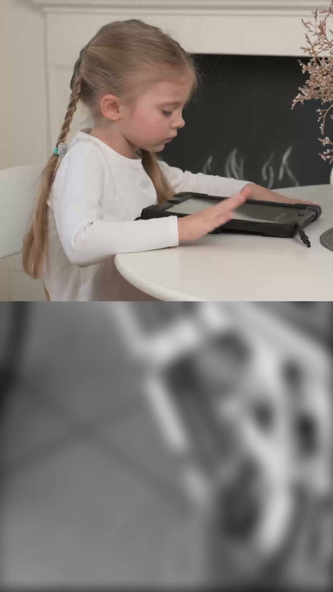 Proefpakket Zappie