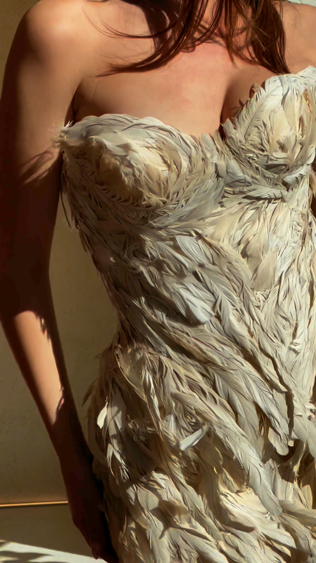Swan
