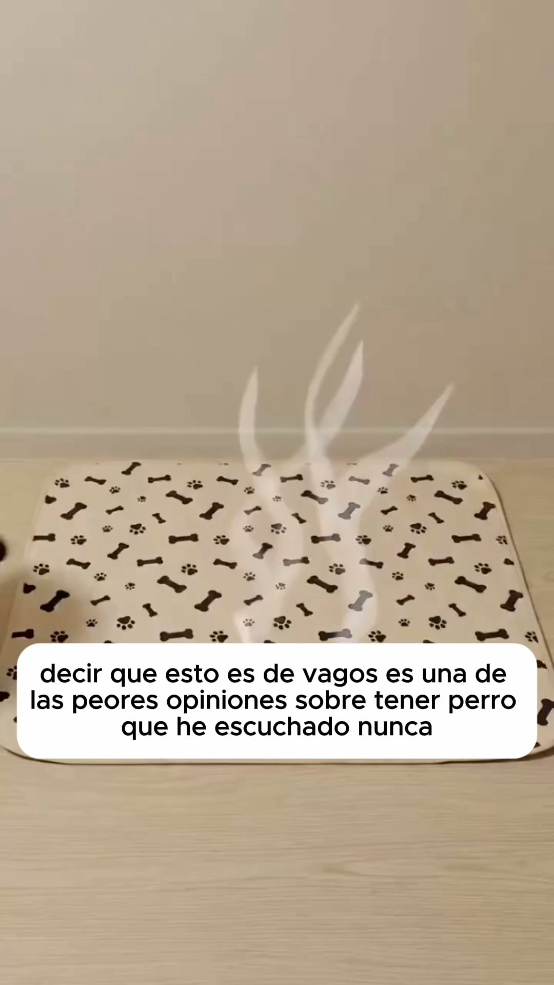 Anúncio de Velaris
