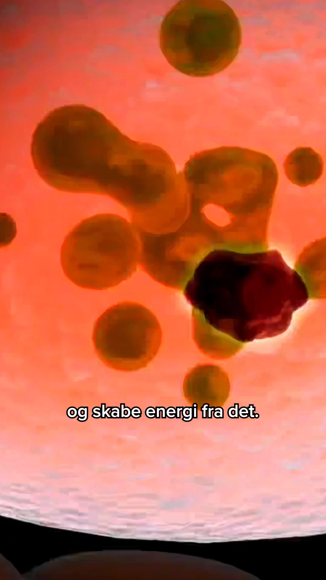 Køb 2 få 3 (1 gratis)