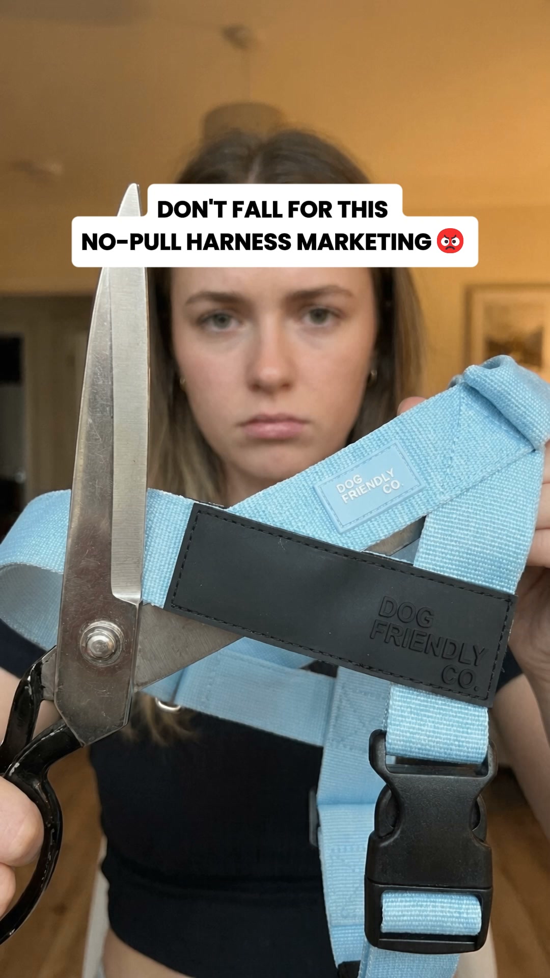 The #1 No-Pull Harness For Big Dogs