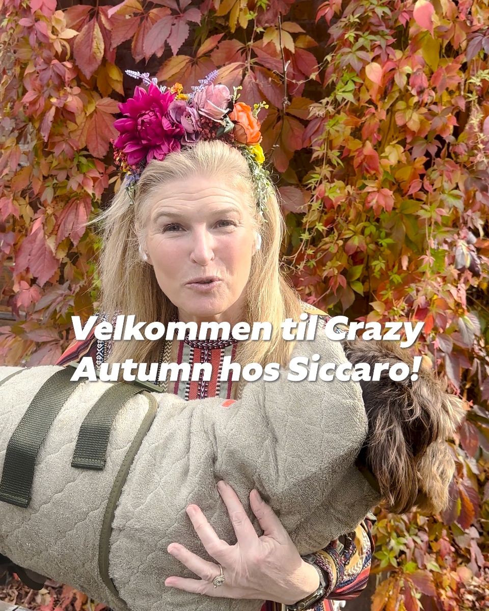 CRAZY AUTUMN: Spar op til 50% på Siccaro.dk