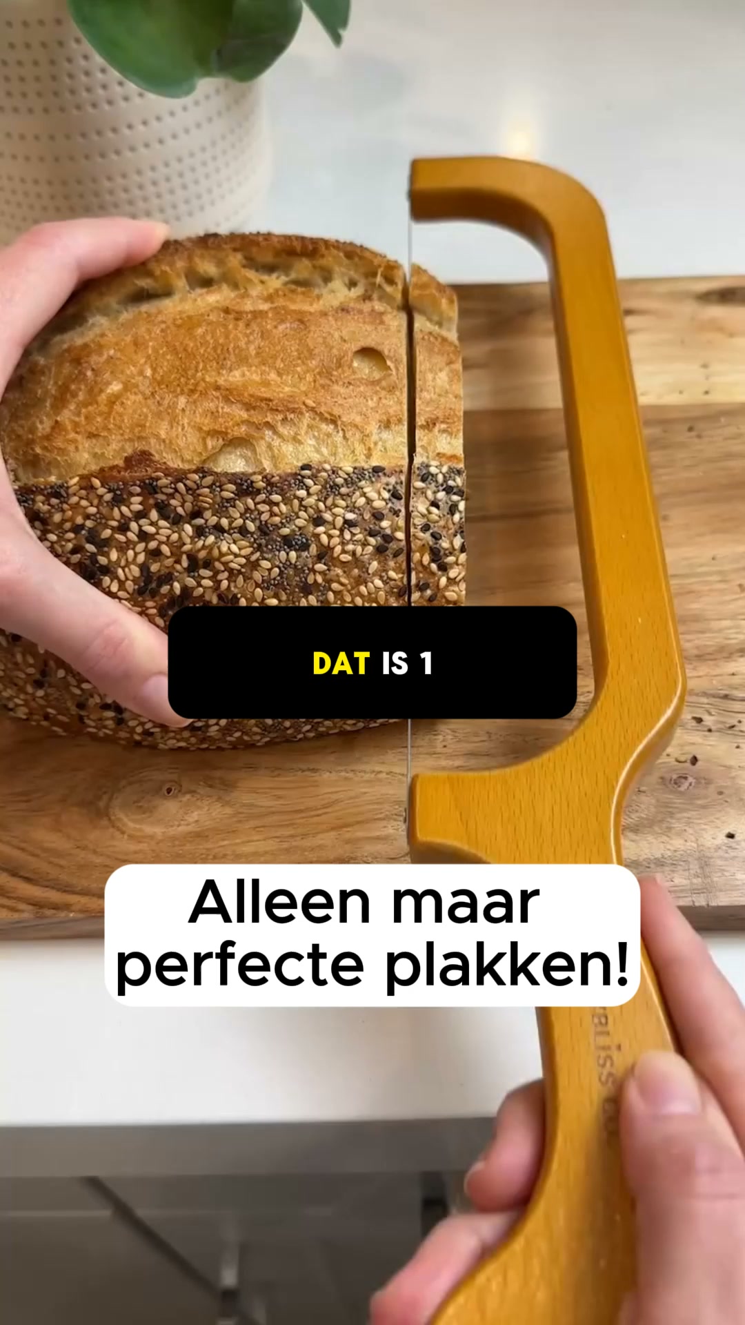 Vandaag 2 Halen 1 Betalen!