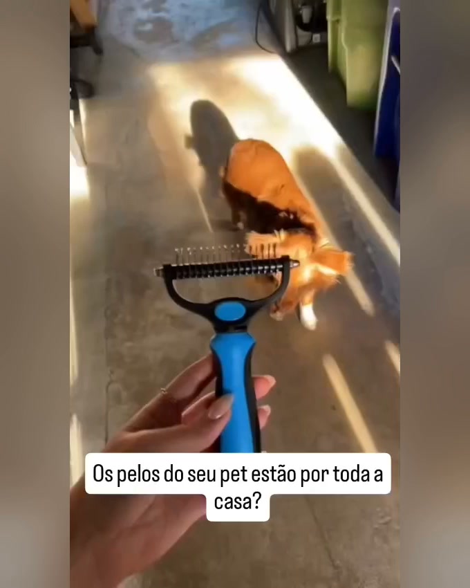 Volta à PrimePet e vê os detalhes