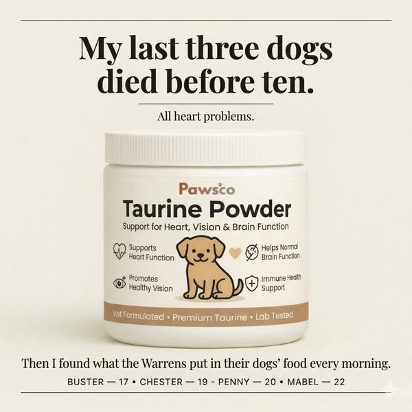 4 dogs. Ages 17, 19, 20 and 22. One difference.