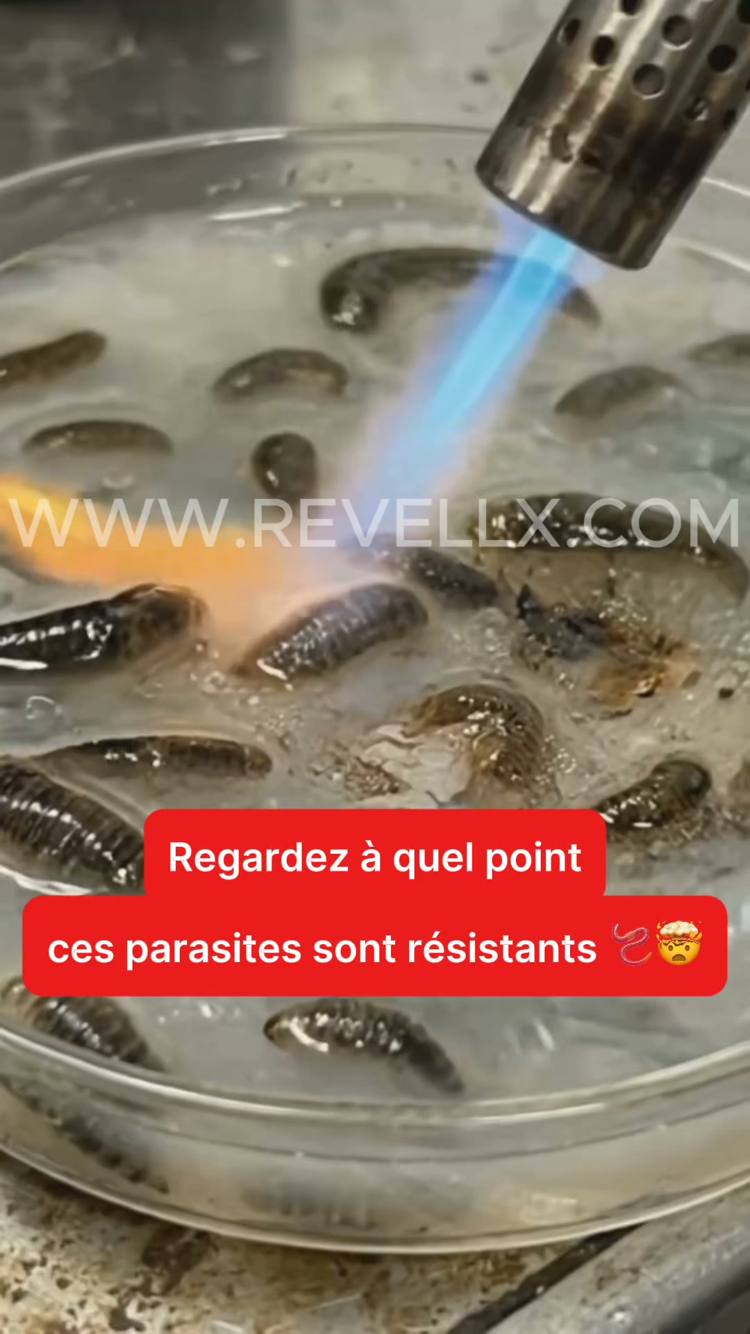 La cure détox 5 fois plus puissante dont votre corps avait besoin