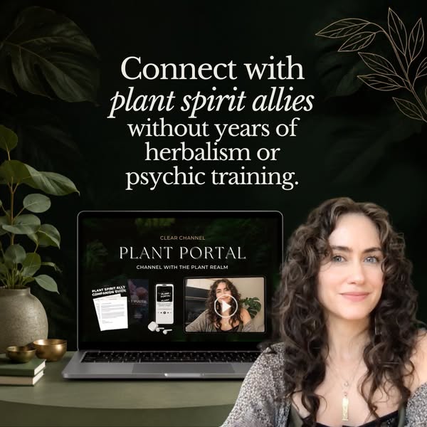 Channel With Plants: Grab My Process