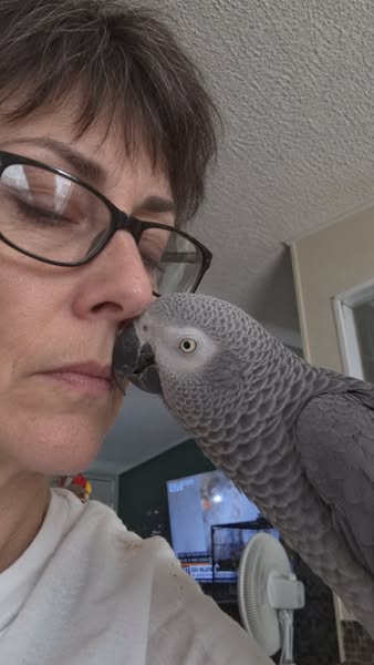 If you have a parrot at home, please read this