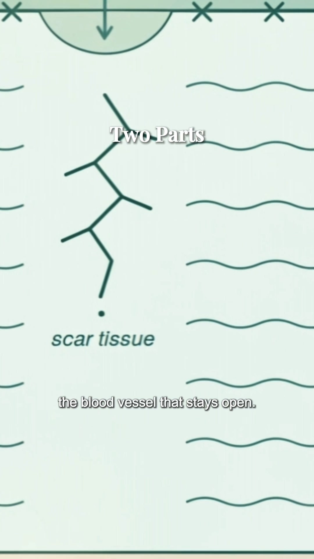 Book a Rosacea Assessment