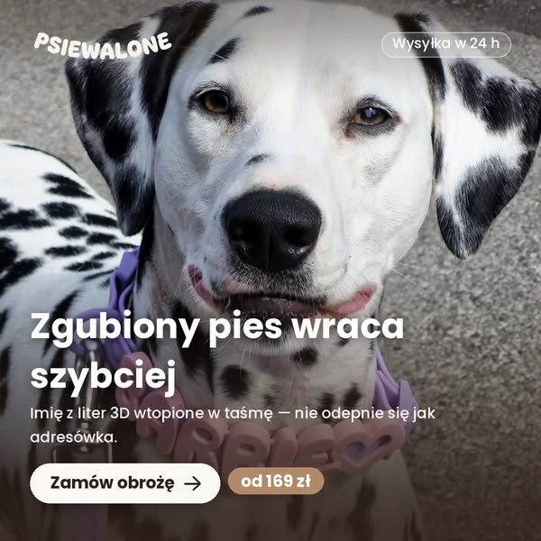 Wpisz imię. Zobacz od razu.