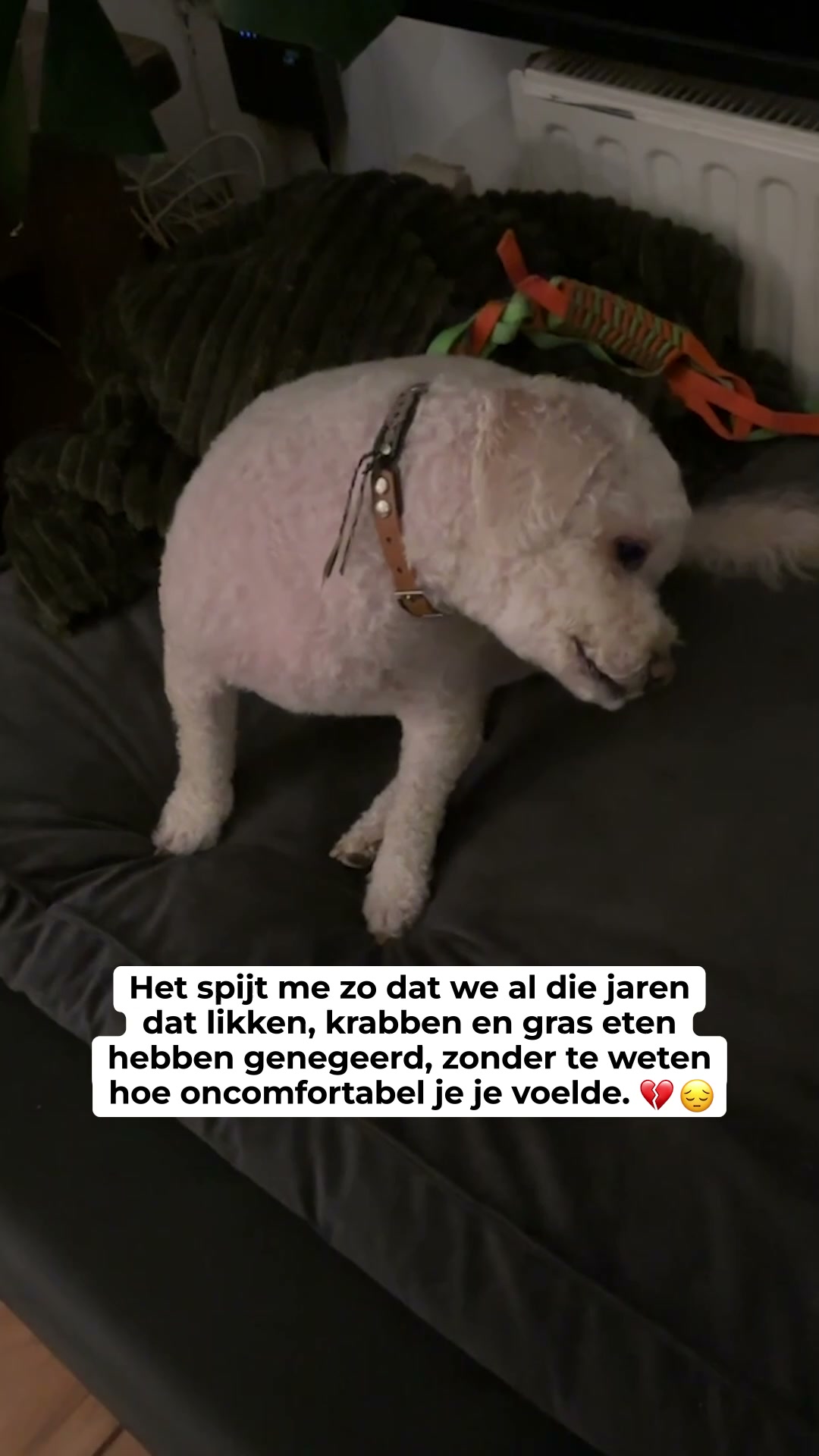Waar jeuk echt vandaan komt (en wat je ertegen doet)