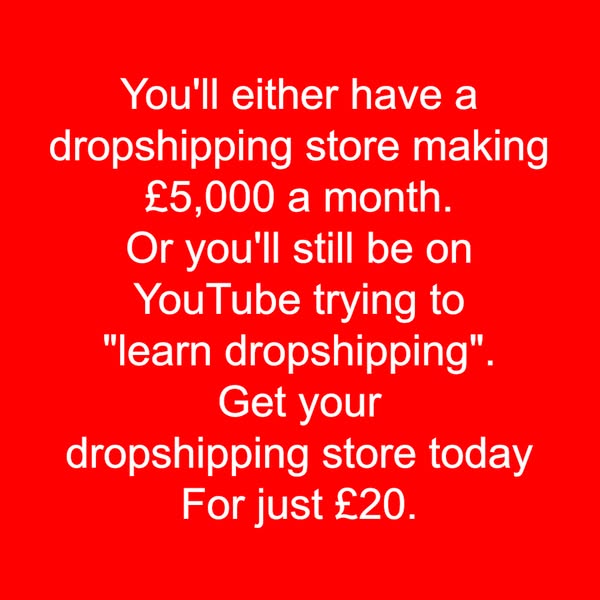 We'll Build Your Shopify Store For Only £20!