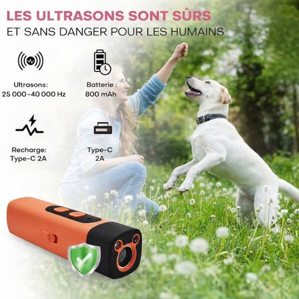 Produit n°1 pour des chiens plus calmes