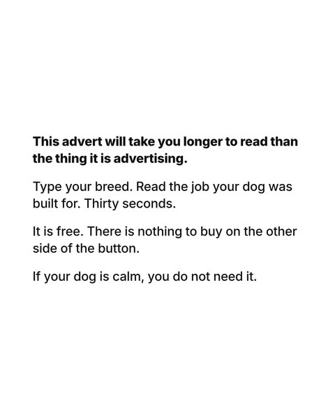 Discover your breed