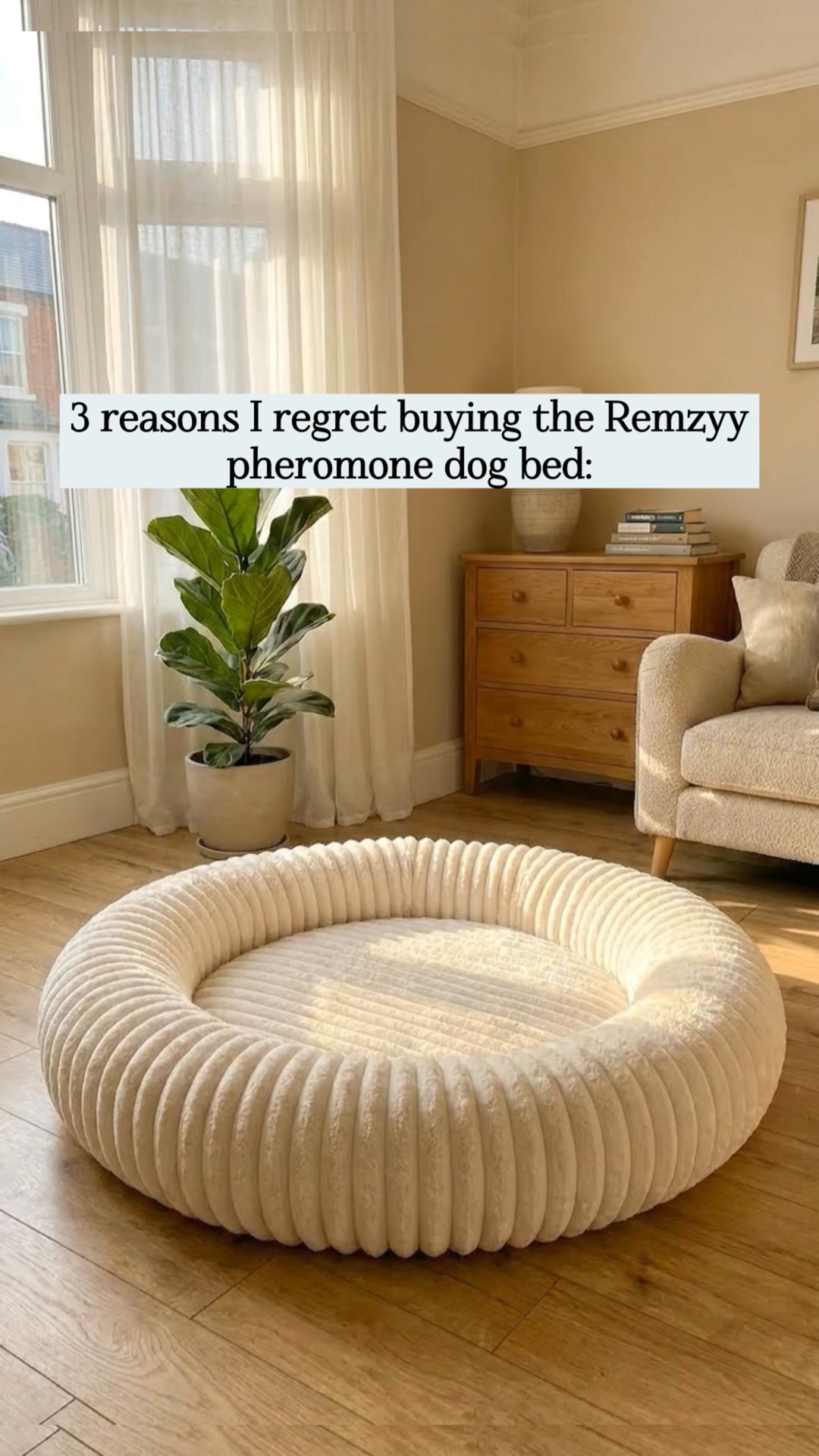 Limited-Time (60% OFF)