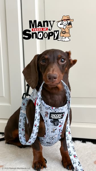 SnoopyTM x My Pug & Co