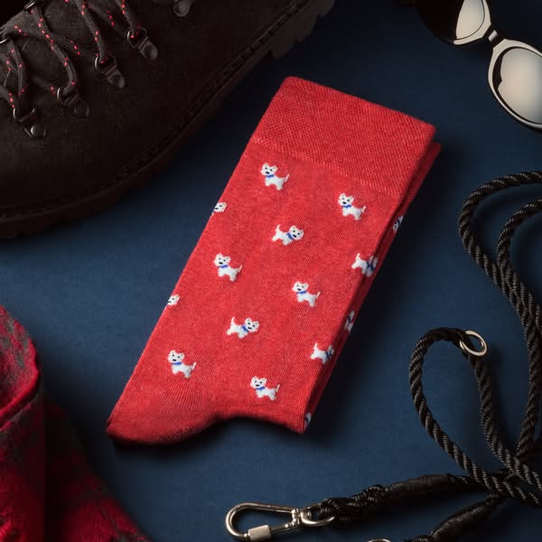 The pawfect socks for dog lovers are back. Woof.