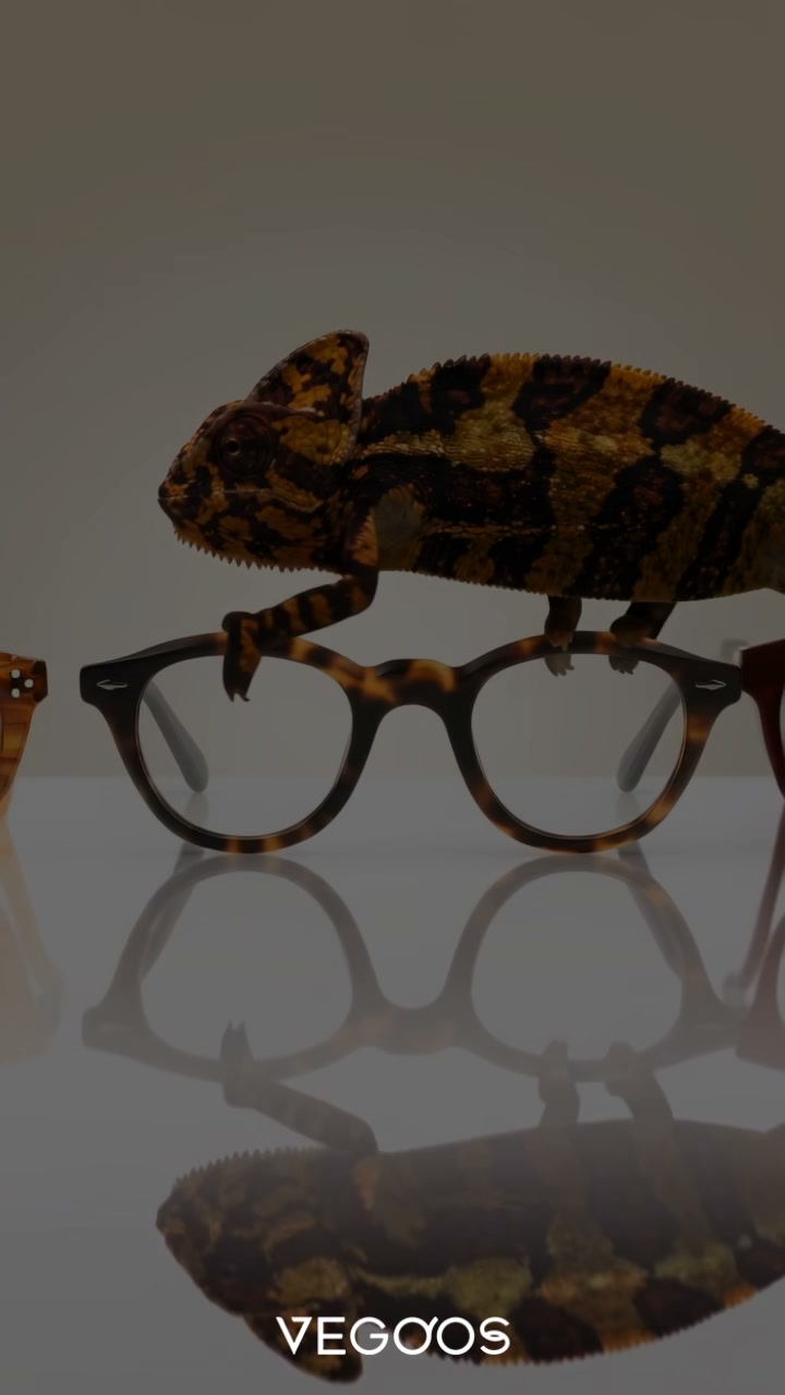 Prescription Glasses