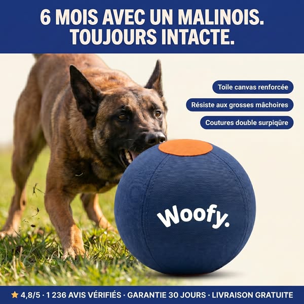 Pour les chiens qui ne plaisantent pas