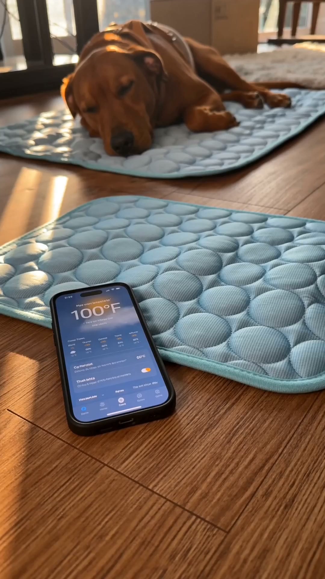 A Cooling Mat That Actually Feels Cool