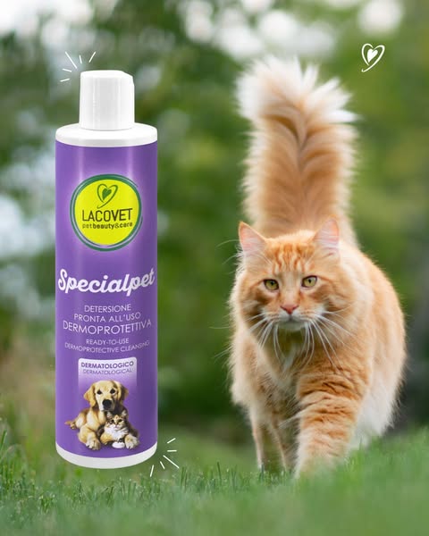 Anúncio de LACOVET pet beauty & care