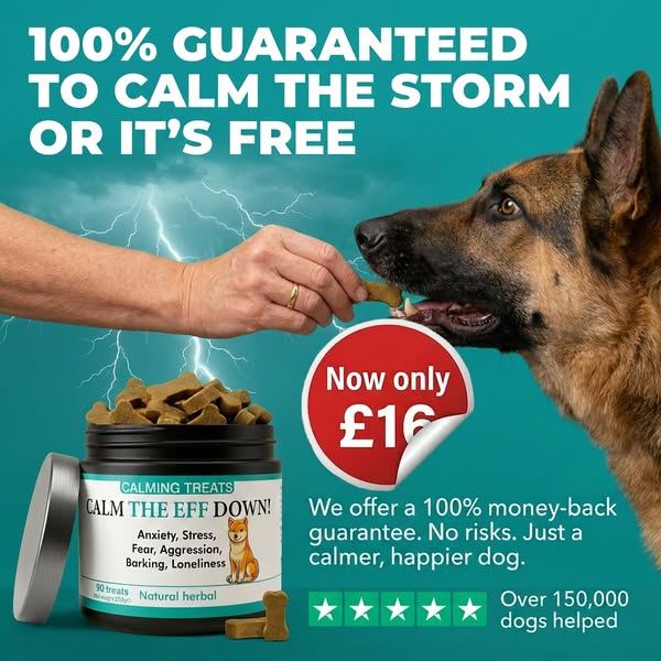 Calm Your Dog NATURALLY
