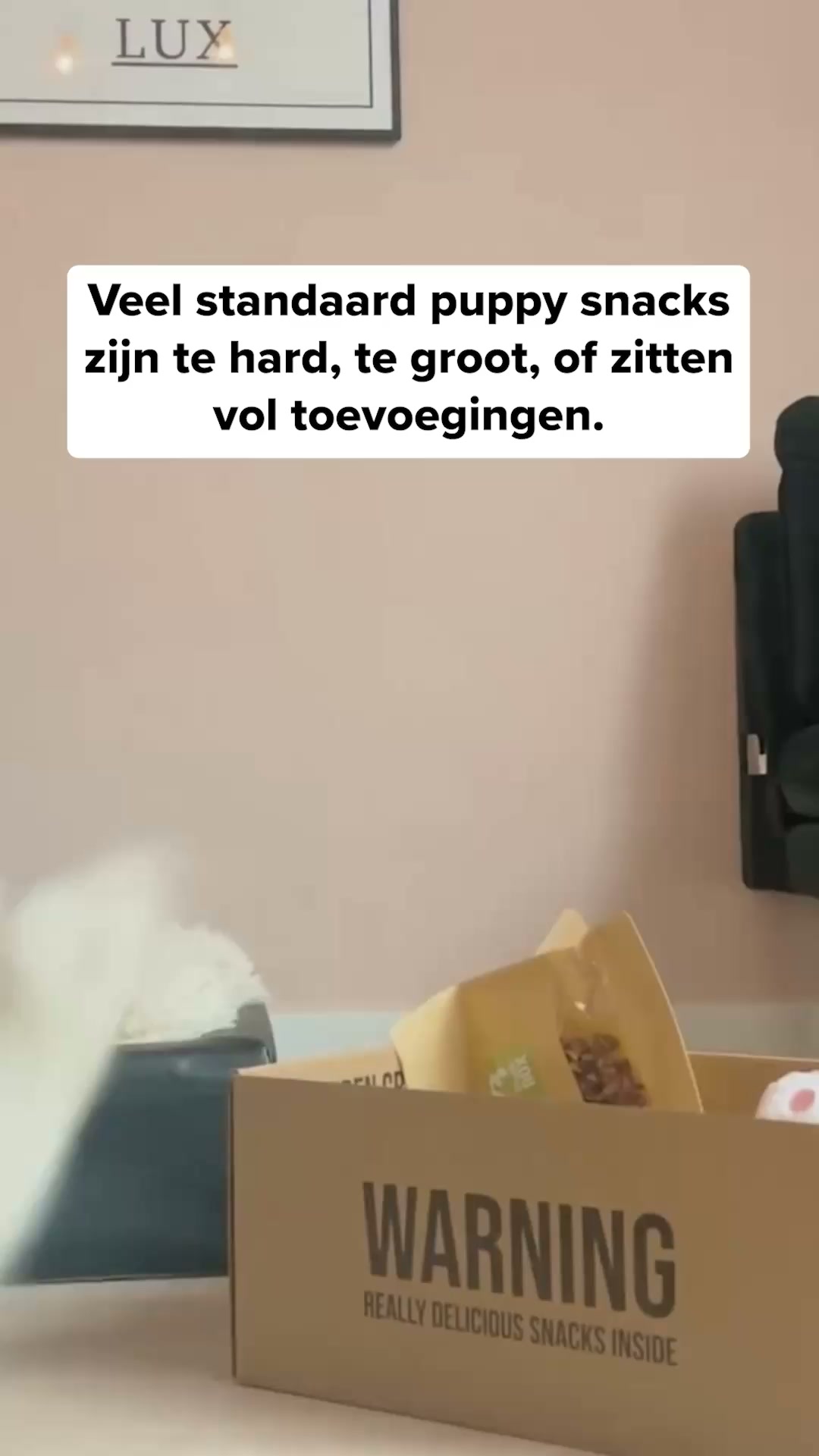 Ontdek de snackbox voor jouw puppy