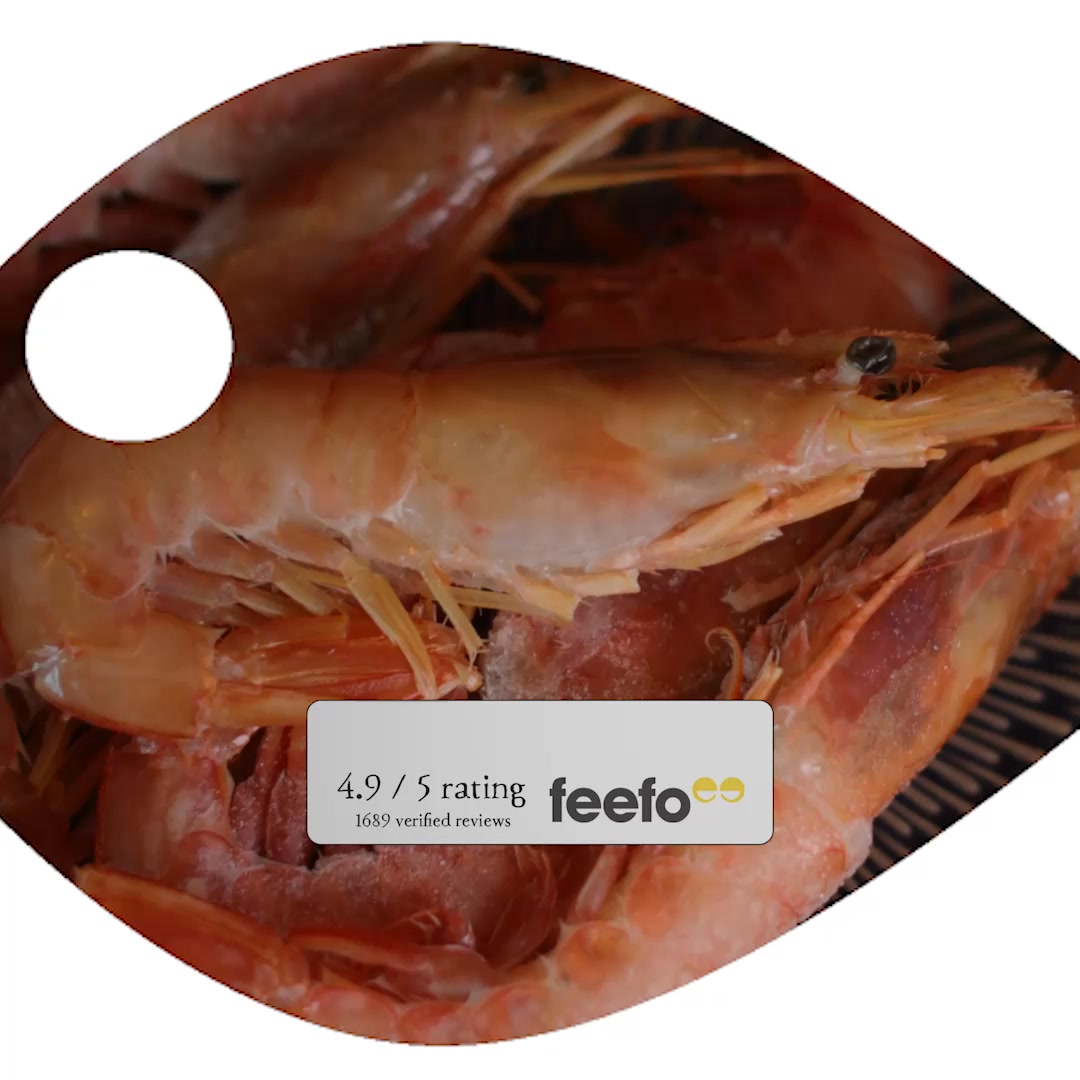 Anúncio de Rockfish
