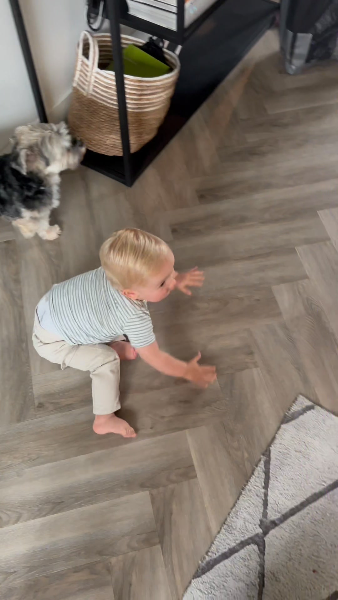 Eén misstap is genoeg — voorkom het met Twinky.